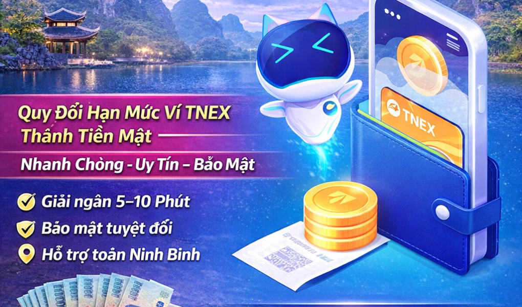 Dịch Vụ Rút Ví TNEX Tại Ninh Bình – Nhận Tiền Nhanh Trong Ngày