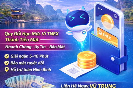Dịch Vụ Rút Ví TNEX Tại Ninh Bình – Nhận Tiền Nhanh Trong Ngày